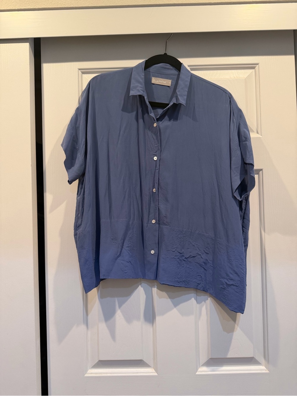 Everlane Blue Short-Sleeve Button-Down Shirt